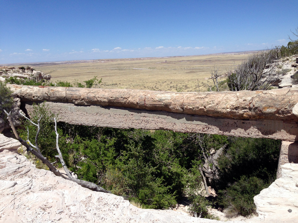 agate-bridge-petrified-forest