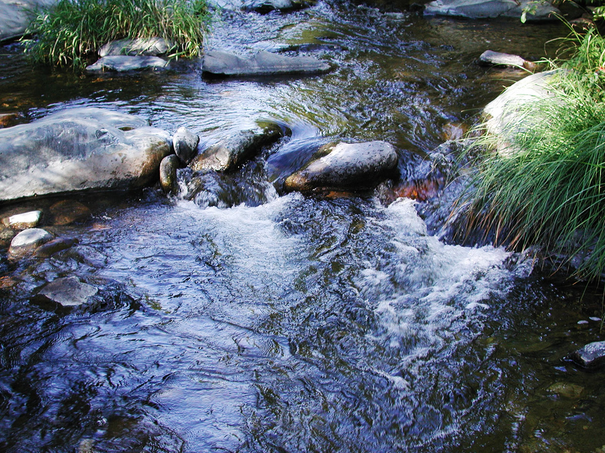 sedona-oak-creek-water