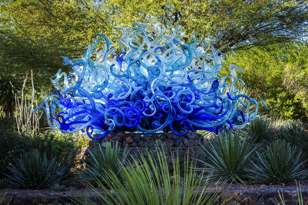 Visit The Desert Botanical Garden Top Places To See In Arizona
