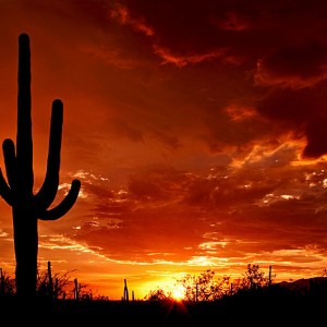 Places to See In Arizona