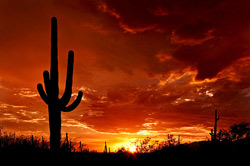 Visit Arizona for the best desert sunsets you'll ever experience! Things to do in Arizona