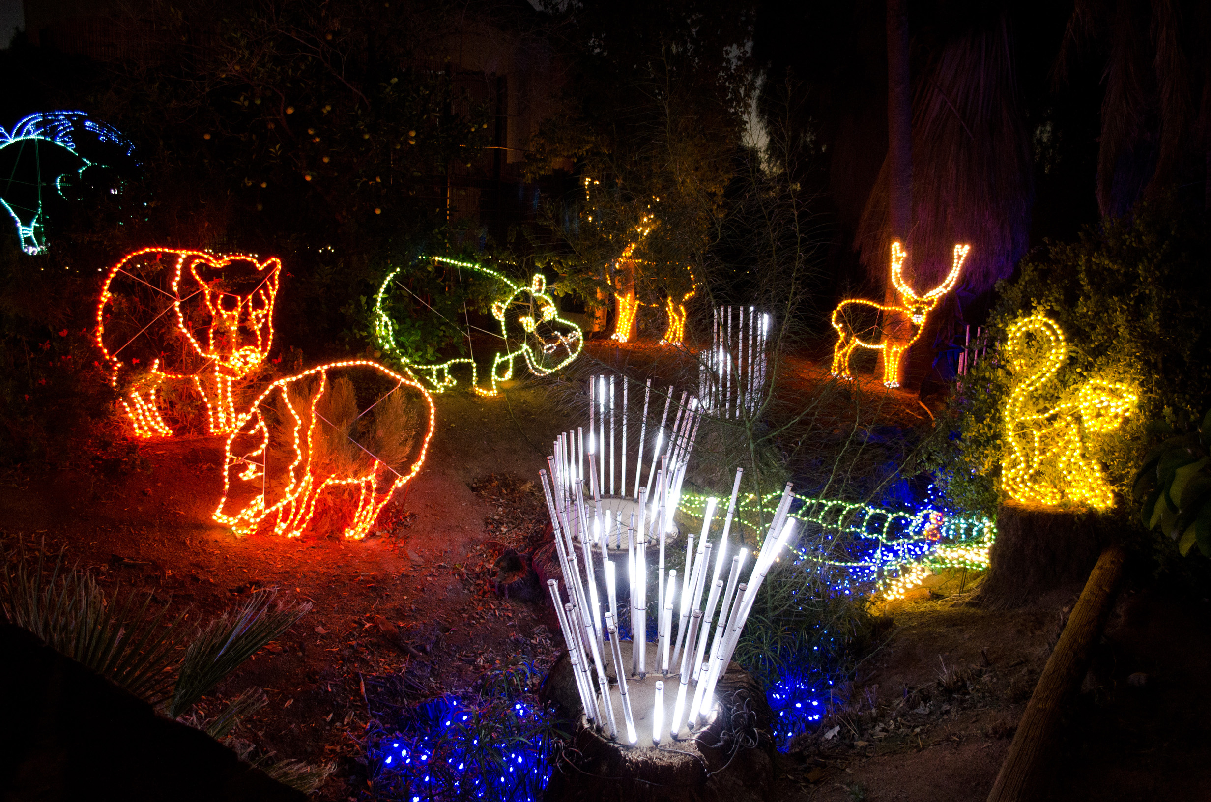 Phoenix Zoo - ZooLights 2013 - 60