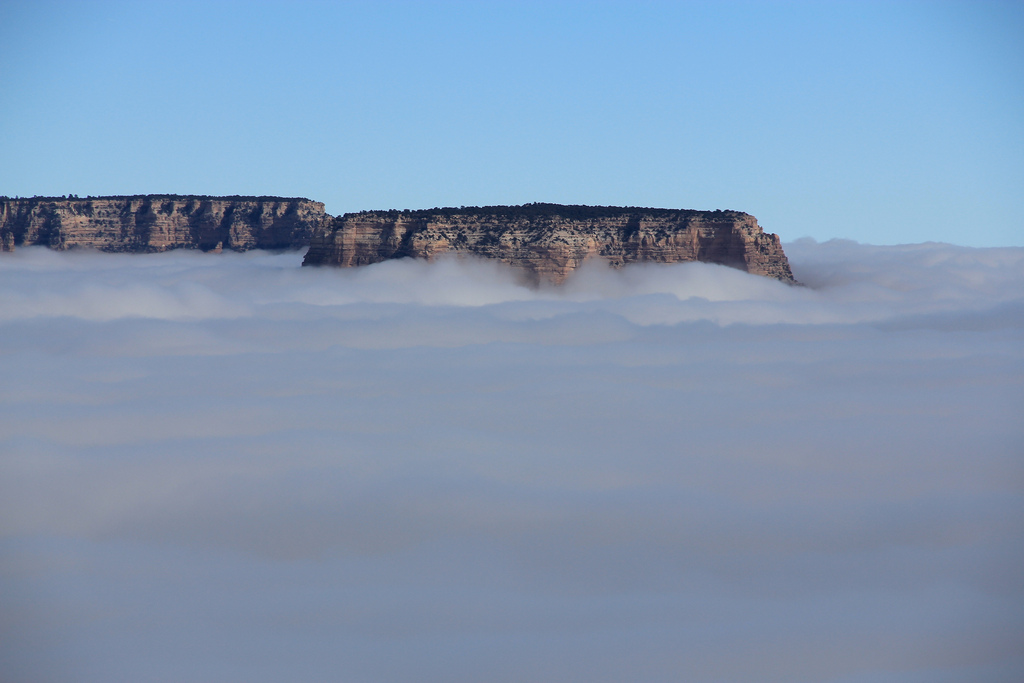 the-grand-canyon-in-fog