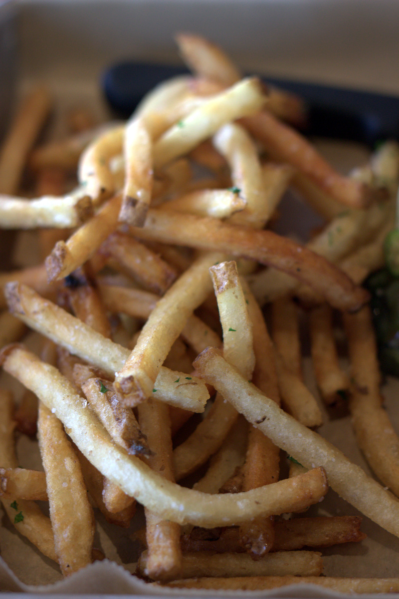 hopdoddy-french-fries