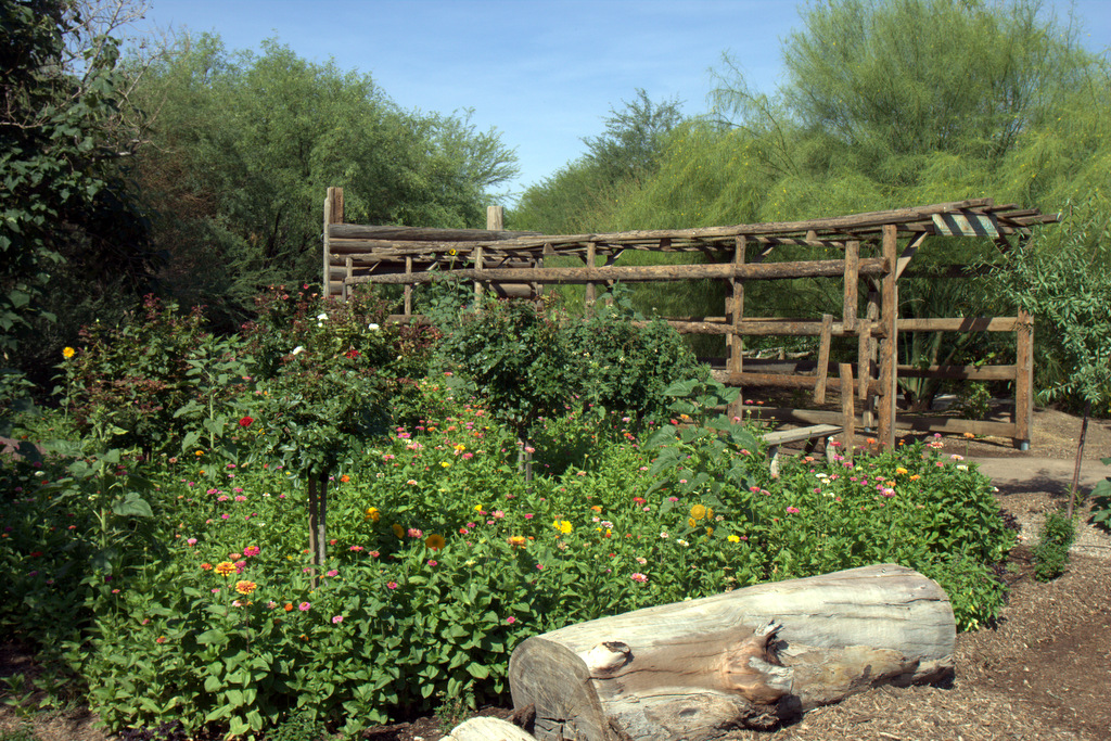 flowers-singh-farms