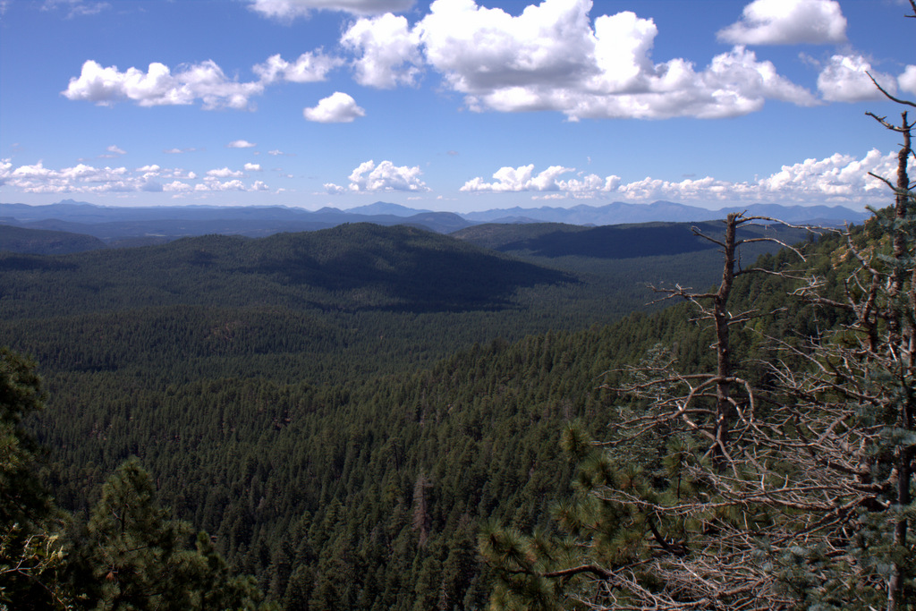 mogollon-rim-az