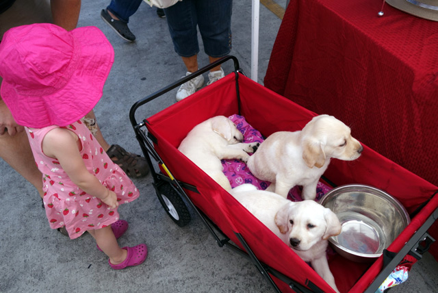 old-town-scottsdale-farmers-market