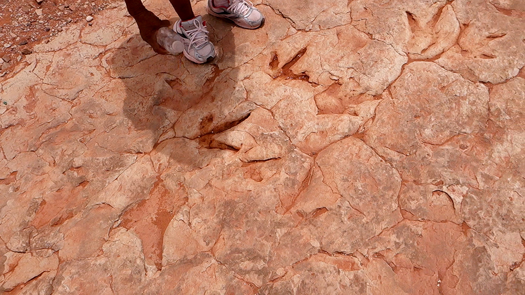 dinosaur-tracks-example-arizona