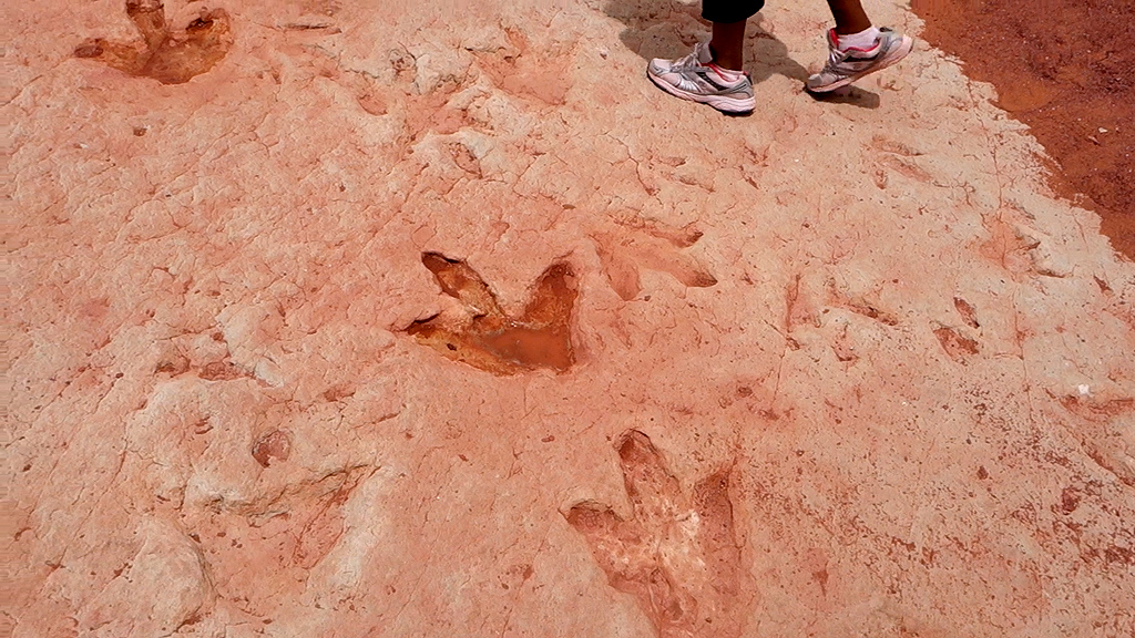 walking-dinosaur-tracks-tuba-city-az