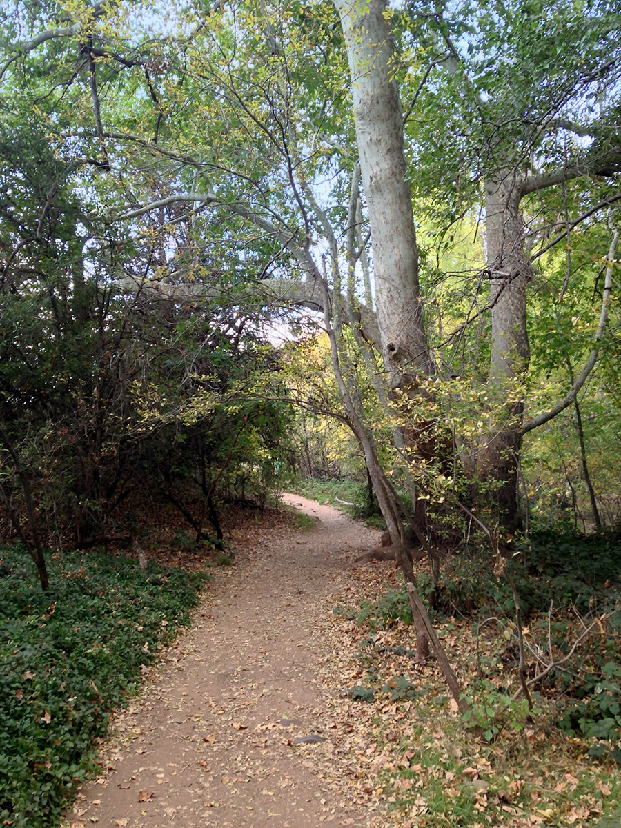 Red-Rock-Crossing-Hike